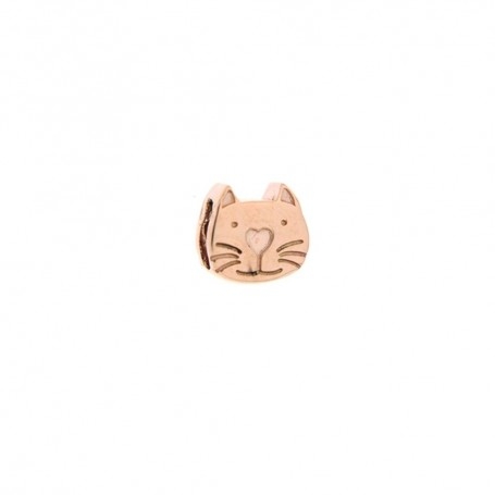 Attimo Rue Des Mille Gatto