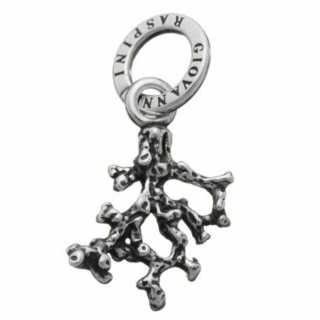 CHARM RASPINI