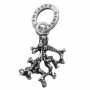 CHARM RASPINI